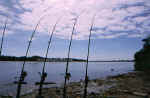 Pesca con la boa in Rodano