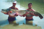 raul y miguel ,pescado con cebo vivo  