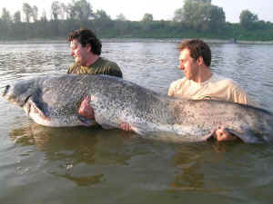 Andrea Pmati ed Alessandro Sala con un 230 cm