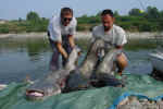 Andrea e Yuri ad Isola Serafini