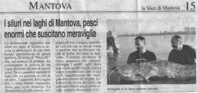 La Voce di Mantova