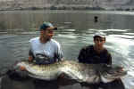 214 cm Ebro