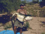 Enriques con un siluro di 51 kg catturato a Mequinenza