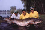 ...Marco, Nox e Ferro con il 217 cm x 64 kg: record di Milano. e provincia.