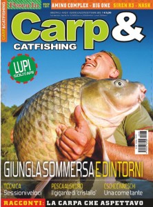 carpa 23 copertina